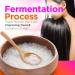 Fermented Rice Water (32 oz) - pH Balanced - We Have Perfected Our Fermented Rice Water to a Science for an Exact Period of time 4 Maximum Benefits 32 Fl Oz (Pack of 1) - Buy Online on GoSupps.com
