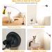 Sunshine Smile Cat Toys Set | Interactive Cat Toys Pack with Springs Feathers & Butterfly Perfect for Cats & Dogs - Buy Online on GoSupps.com