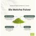  Cupplement Cupplement - 4 bags of Matcha 90g - Organic - Free Matcha Whisk - Highest quality green tea powder - Buy Online on GoSupps.com