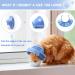 YQkangzhu Cat Recovery Collar Dog Cone Collar Soft Adjustable Elizabethan Collars Cones Protective Pet E Collar After Surgery Injuries Breathable Lightweight Collar for Small Pet Kittens Puppy(S) - Buy Online on GoSupps.com