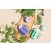 Glass Sippy Cup Set for Toddlers - 5oz - Spill-Proof Silicone Straw - Mint Green & Indigo Purple - BPA-Free - Buy Online on GoSupps.com