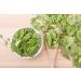 Common Birch Leaf Tea | Feuille De Bouleau Tisane | Folium Betulae | Health Embassy (100g) - Buy Online on GoSupps.com
