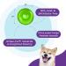 Planet Dog Orbee-Tuff Snoop Interactive Treat Dispensing Dog Toy - Large Green - Eco-Friendly Engaging Play for All Breeds - Buy Online on GoSupps.com