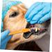 DOITOOL 20 pcs Dual-head Cleaning Oral Pet Teeth Clean Cat Dog for Nylon Small Puppy Pets Handheld Tooth 1 count (Pack of 1) Assorted Colorx2pcs - Buy Online on GoSupps.com