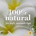 Burt's Bees Vanilla Maple Lip Balm 4.25g - 100% Natural Moisturising Formula - Buy Online on GoSupps.com