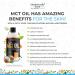 Intentionally Bare Collagen Serum with MCT Oil - Anti-Aging Peptide Formula for Fine Lines - Hydrating Hyaluronic Acid - 1oz - Ideal for All Skin Types - Buy Online on GoSupps.com