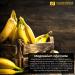 Magnesium Glycinate Capsules | 180 Count | Mineral Supplement for Heart, Muscle, Nerve & Bone Health - Buy Online on GoSupps.com
