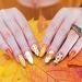 Whaline Thanksgiving Nail Art Stamping Plate Kit - Pumpkin, Maple, Autumn Blessing Collection | DIY Manicure Salon - Buy Online on GoSupps.com