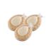 Freeman Faux Sea Sponge Set Bath & Shower Sponge 2 in 1 Deep Cleansing Bath Sponge for Face & Body Pairs with Face Cleanser & Body Wash Multitasking Bath Accessory 3 Count