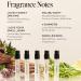 DIME Beauty Perfume Sampler Hypoallergenic Clean Perfumes Eau de Toilette For Women (Set of 5 2 ml) - Buy Online on GoSupps.com