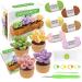 Crochet Kit for Beginners - 4Pcs Succulents, Beginner Crochet Starter Kit for Complete Beginners Adults, Crocheting Knitting Kit with Step-by-Step Video Tutorials