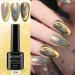 MIZHSE 2-IN-1 Holographic 9D Cat Eye Gel Nail Polish Holo Cat Eye Gel Polish Laser Nail Polish Gel Galaxy Chameleon Magnetic Gel Soak Off UV Gel with Magnet Stick and Black Gel Nail Art - Buy Online on GoSupps.com