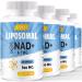 Liposomal NAD+ Softgels 500mg with TMG 250mg More Efficient Than Nicotinamide Riboside Supports Cellular Energy & Healthy Aging (240 Softgels (Pack of 4))