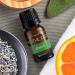 SpaRoom Breathe Easy Essential Oil Blend - 10ml (0.33 fl oz) - Made in USA - Buy Online on GoSupps.com