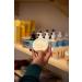 All Natural Nappy Ointment by Matter Company Baby Cream to Overcome Wetness - Buy Online on GoSupps.com