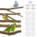 Gobesty Bird Perch Stand Bird Cage Accessories 5 PCS Bird Parrot Perches Natural Wood Parrot Perch Bird Cage Branch for Parakeets Cockatiels Conures Macaws Finches Love Birds