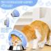 Adjustable Cat Collar & Foldable Recovery Cone | Prevents Licking Wounds for Kittens - Cats Rullenkruff - Buy Online on GoSupps.com