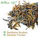 Buy Gentiana Scabra Bunge | | Gentian Flower | Jade Beauty Tea for Health | 20g | International Shipping - Buy Online on GoSupps.com