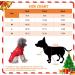 Buy Christmas Dog Turtleneck Sweater Warm Knitwear for Pets | Cozy Winter Dog Coat Costume (Red M) - Buy Online on GoSupps.com