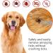 iJiZuo 2-in-1 Professional Tick Tweezers and Tick Hooks Reliable Against Ticks of Any Size Tick Remover for Humans Dogs Cats (with Leather Bag) - Buy Online on GoSupps.com