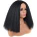 KKJKK Kurz Curly Black Synthetic Wig for Women | Fluffy Medium Length Heat-Resistant Fiber | Perfect for Cosplay & Halloween - Buy Online on GoSupps.com