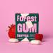 Buy Eco-Friendly Forest Gum Trial Set | 5 Vegan Flavors - Mint Eucalyptus Berry Cassis Mango | Plastic-Free Sugar-Free | 9 x 20g - Buy Online on GoSupps.com