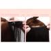Elailite Real Hair Clip-In Extensions - 20cm 45g 8-Part Set 18 Clips - Smooth Full Head Natural Black #1B - Buy Online on GoSupps.com