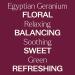 Plant Therapy Egyptian Geranium Essential Oil 5 mL (1/6 oz) 100% Pure Undiluted Natural Aromatherapy Stress Relief Emotional Balance - Buy Online on GoSupps.com
