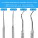 2PCS Stainless Steel Ingrown Toenail File and Lifter Set with Storage Case - Professional Grade Nail Cleaner Tool - Buy Online on GoSupps.com