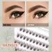 240 Pcs 20D Volume Individual Lash Clusters, Lightweight DIY Eyelash Extensions - 0.07mm C Curl False Lashes - 10/11/12/13/14mm - Buy Online on GoSupps.com