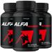 Alfa Gigante Capsules Alfa Gigante Pills AlfaGigante All Natural Pills Alfa Gigante - Maximum Strength AlfaGigante Advanced Formula Official AlfaGigante Capsules Reviews (3 Pack)