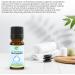 Panthenol Serum 10ml - Skin and hair care formulas such as creams lotions after sun formulas baby skin care cleansers shampoos conditioners - Buy Online on GoSupps.com