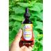 Eclectic Institute Stone Root Extract 250 mg - 2 fl oz (60 ml) - Herbal Supplement - Buy Online on GoSupps.com