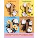 Dang Keto Bar Variety Pack - 12 Bars (1.4 oz each) | Low Carb & Delicious Snacking - Buy Online on GoSupps.com