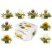 Creano Blooming Tea Sampler - 8 Flowering Tea in Cupsize - White Tea - Gift for Women Mom Tea Lovers - 8 Pieces (Pack of 1)
