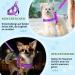 Eyein No-Pull Dog Harness with Leash | Soft Padded Reflective & Adjustable for All Breeds | XXS Purple - Buy Online on GoSupps.com
