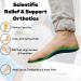 Plantar People Orthotic Insoles - Full Length with Arch Supports, Silicone Heel Pads - XL UK 11-13 | Plantar Fasciitis Treatment - Buy Online on GoSupps.com