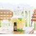 doTERRA Spearmint Essential Oil 15 mL - Premium Quality Essential Oil for Aromatherapy & Wellness | International Shipping Available - Buy Online on GoSupps.com