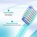 Toothbrush Replacement Heads Compatible with Colgate Hum Electric | 8 Pack Green Brush Heads for Colgate 360 Power Charcoal Deep Clean - Buy Online on GoSupps.com