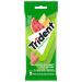 Trident Sugarfree Watermelon Gum Slab 3-Pack (42 Pieces) Watermelon 1 count (Pack of 3)