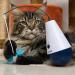 Kittio Wild Tumbler Cat Toy with 4X Replacement Feather Attachments - Interactive and Fun Exercise Toy for Cats - Buy Online on GoSupps.com