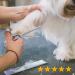 Jason Profi 7.5 Inch Effilier Scissors for Dogs Cats & Pets - Adjustable 56 Teeth Blender Fur Care Scissors - Buy Online on GoSupps.com