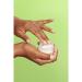 BURT'S BEES Calming Night Cream with Aloe and Rice Milk 1.8 oz - Sensitive Skin Night Cream - Buy Online on GoSupps.com