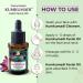 Passion Indulge Kumkumadi Gold Tailam for Face | Radiant & Revitalizes Skin Ayurvedic Face Oil with Saffron Vetiver Essential Oils & 16 Herbs | Reduces Dark Spots & Signs of Aging 1 fl oz Face Oil-30 Ml - Buy Online on GoSupps.com
