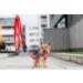 Chaba Guard Dog Harness for Small Dogs - Anti-Zug & Choking Relief Adjustable & Lightweight Perfect for Running - Classic Red - Buy Online on GoSupps.com