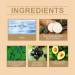 Wild Yam Cream for Menopause Organic Wild Yam Cream Hormone Balance Women Wild Yam Root Cream Skin Moisturizer Wild Yam Cream Organic Botanical Balancing Body Cream - Buy Online on GoSupps.com