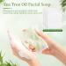 Lot De 2 Savons L'Arbre Th Savon Antifongique Pour Le Visage Le Corps Et Les Mains - R gule Le S bum Purifie Les Pores Pr vient Les Imperfections Apaise La Peau Fra che - Buy Online on GoSupps.com