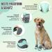 Eyin Dog Shoes - Breathable Non-Slip Paw Protection for Small Medium & Large Dogs | Reflective Velcro Fastener | Outdoor Sports - Size 1 (4.1 cm Width) - Green - Buy Online on GoSupps.com
