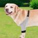 Dog Canine Front Leg Brace | Pair of Dog Leg Brace | Supportive Joint Wrap Pet Wounds Prevent Licking Bite Keep Dry Deyao Grey Small - Buy Online on GoSupps.com