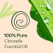 Buy Plant Therapy Citronella Essential Oil 30 mL - 100% Pure Undiluted for Aromatherapy Diffuser Candle Making & Skin Care - Therapeutic Grade International Shipping Available - Buy Online on GoSupps.com